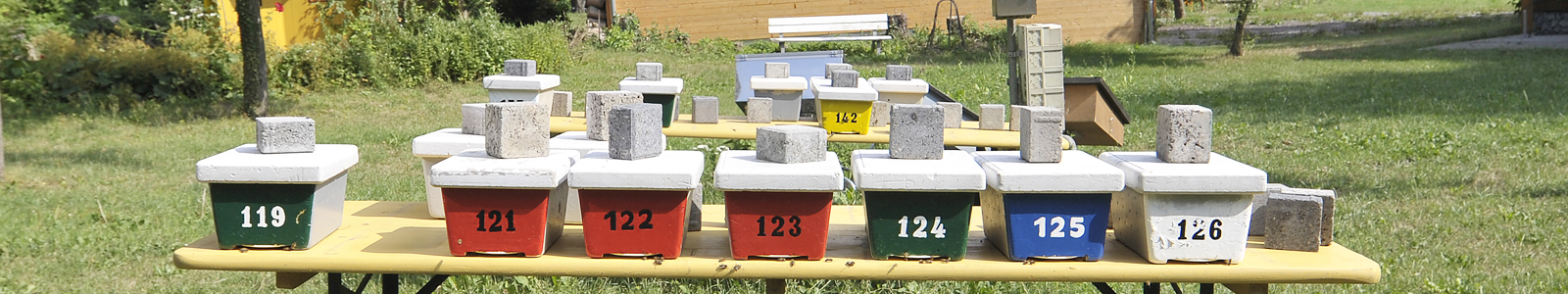Viele Bienenstöcke, numeriert © Dienstleistungszentren Ländlicher Raum